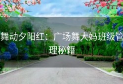 舞动夕阳红：广场舞大妈班级管理秘籍