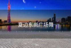 夏边东尚广场舞