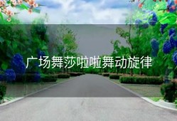 广场舞莎啦啦舞动旋律