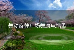 舞动旋律广场舞康电情歌