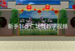 新手16步广场舞教学视频