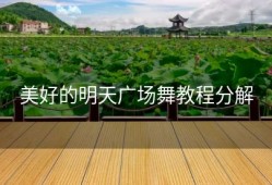 美好的明天广场舞教程分解