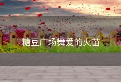糖豆广场舞爱的火苗