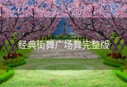 经典街舞广场舞完整版