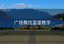 广场舞找富婆教学