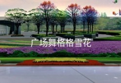 广场舞格格雪花