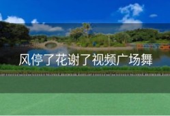 风停了花谢了视频广场舞