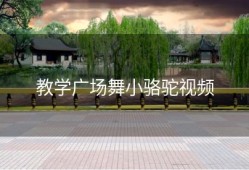 教学广场舞小骆驼视频