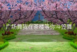 广场舞我在茶楼等你斗笠舞