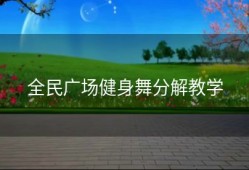 全民广场健身舞分解教学