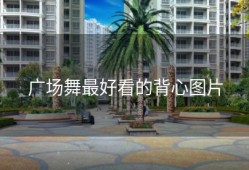 广场舞最好看的背心图片