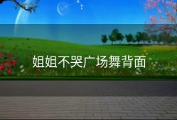 姐姐不哭广场舞背面