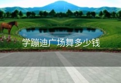 学蹦迪广场舞多少钱