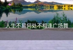 人生不易何处不相逢广场舞