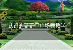 认识的哥哥们广场舞教学