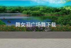 舞女泪广场舞下载