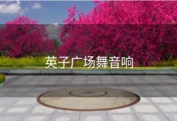 英子广场舞音响