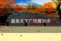 最美天下广场舞30步