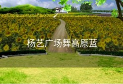 杨艺广场舞高原蓝