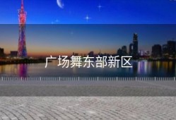 广场舞东部新区