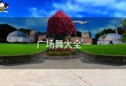 广场舞大全一