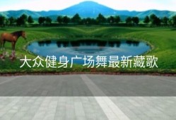 大众健身广场舞最新藏歌