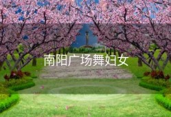 南阳广场舞妇女