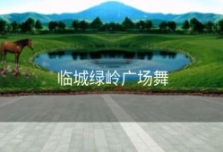 临城绿岭广场舞