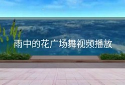 雨中的花广场舞视频播放