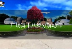 广场舞十八步分解动作