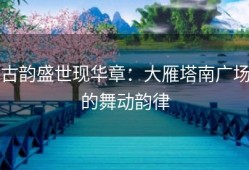 古韵盛世现华章：大雁塔南广场的舞动韵律