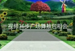 视频36步广场舞敖包相会