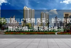 中国范儿广场舞风采：普宁市民舞动热情，展现美好生活