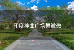 印度神曲广场舞微微