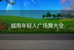 越南年轻人广场舞大全