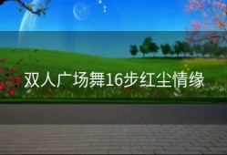 双人广场舞16步红尘情缘