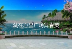 藏在心里广场舞春英