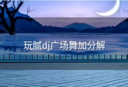 玩腻dj广场舞加分解