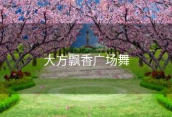 大方飘香广场舞