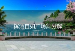 挥洒自如广场舞分解