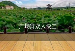 广场舞双人快三
