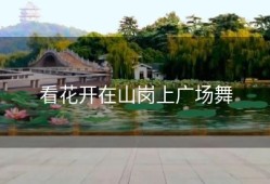 看花开在山岗上广场舞