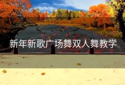 新年新歌广场舞双人舞教学