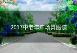 2017中老年广场舞服装