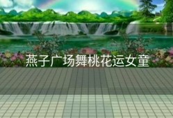 燕子广场舞桃花运女童