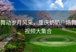 舞动岁月风采，重庆奶奶广场舞视频大集合