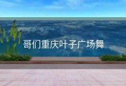 哥们重庆叶子广场舞