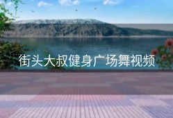 街头大叔健身广场舞视频