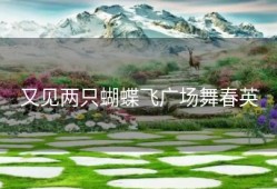 又见两只蝴蝶飞广场舞春英