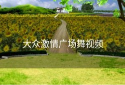 大众激情广场舞视频